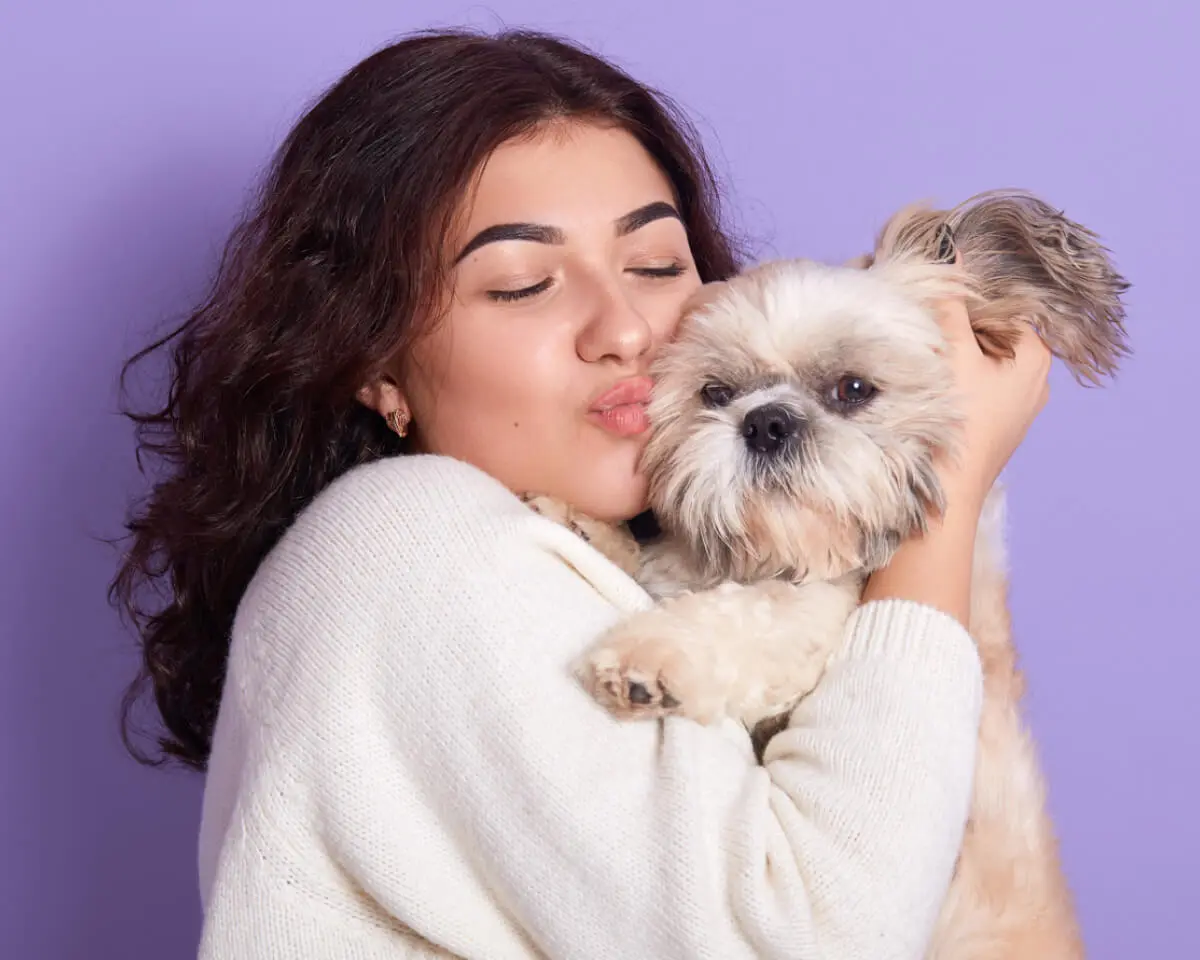 Dog love