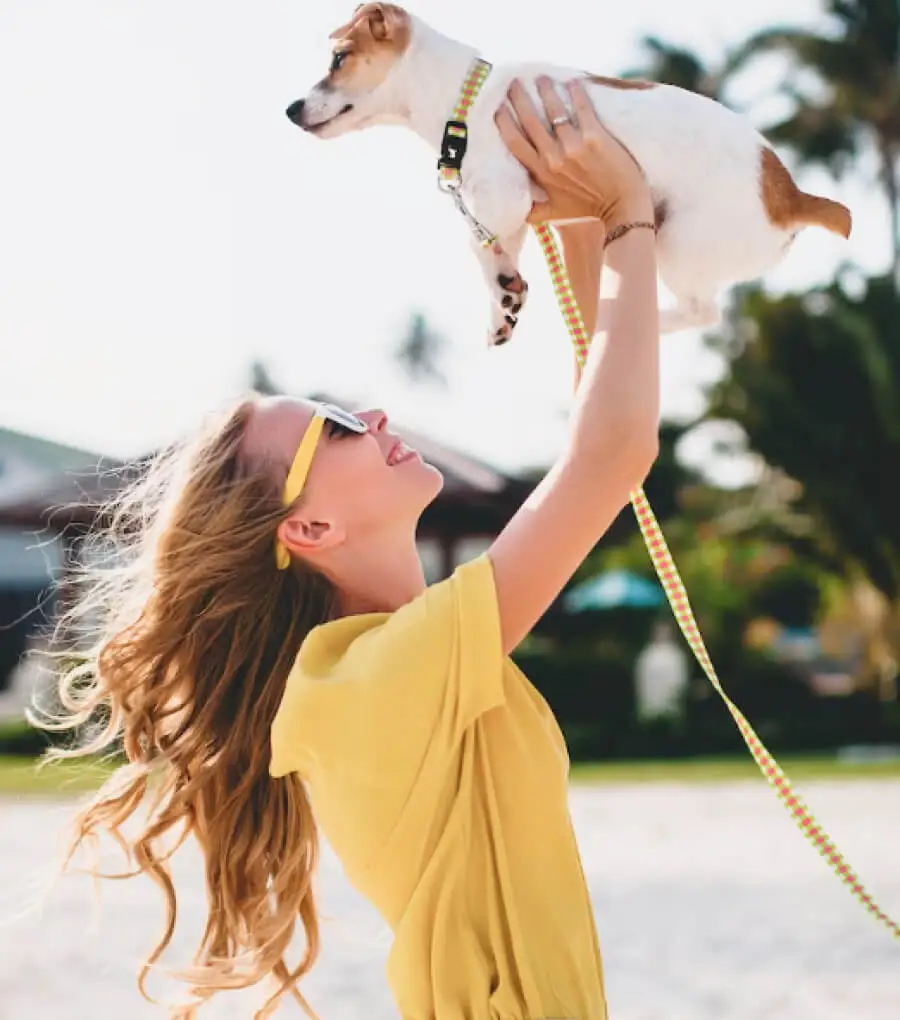 pet ai assistant