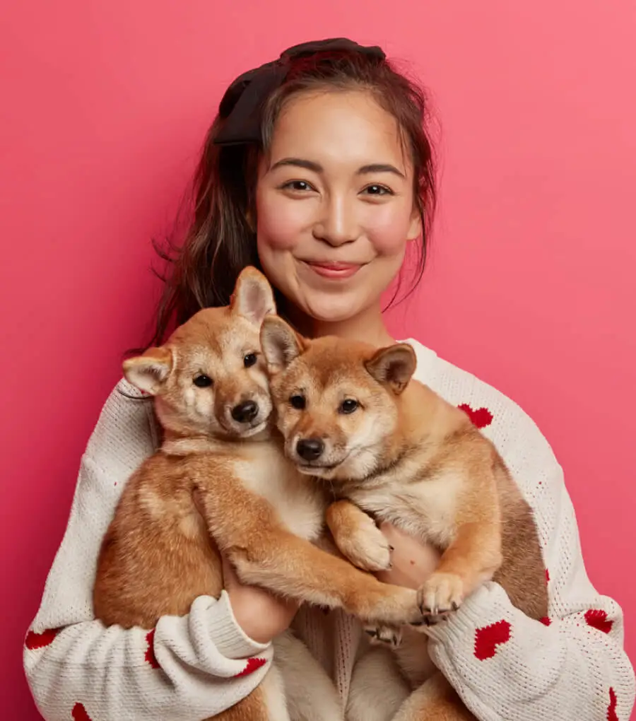 pet caring